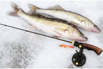 Ловля судака на вибы (раттлины) со льда. Все, что нужно знать рыбаку в одной статье!